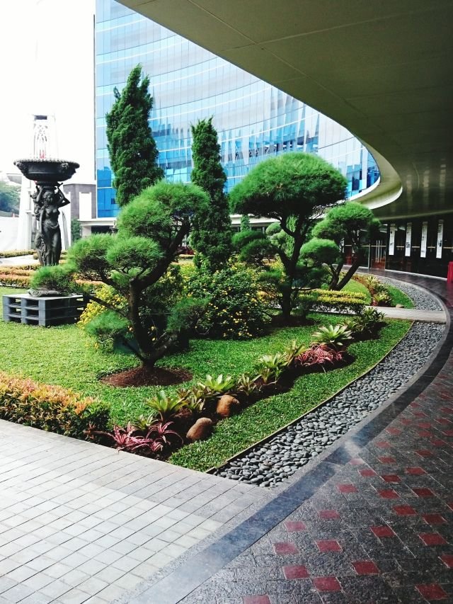 Commercial Landscaping services Commercial Landscaping